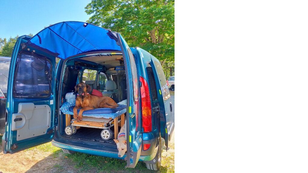 収納たっぷりのコカングー